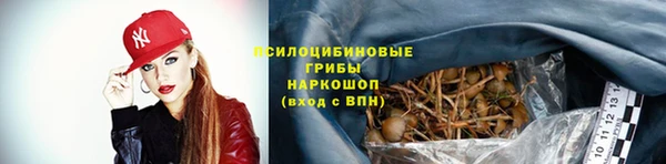 PSILOCYBIN Касимов