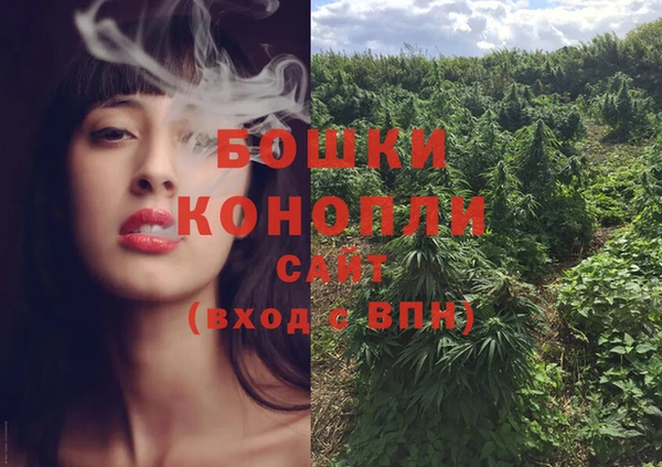 винт Каменка