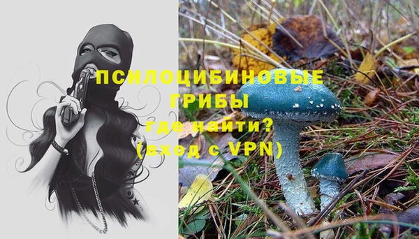 PSILOCYBIN Касимов