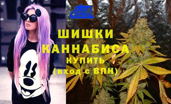 mdpv Карпинск