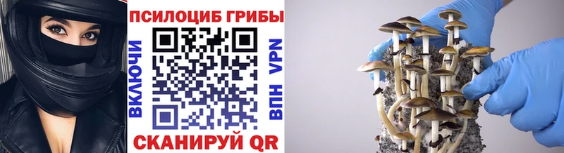 Галлюциногенные грибы мухоморы  Купить закладки  Горно-Алтайск 